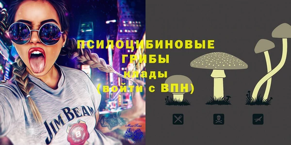 ECSTASY Лагань